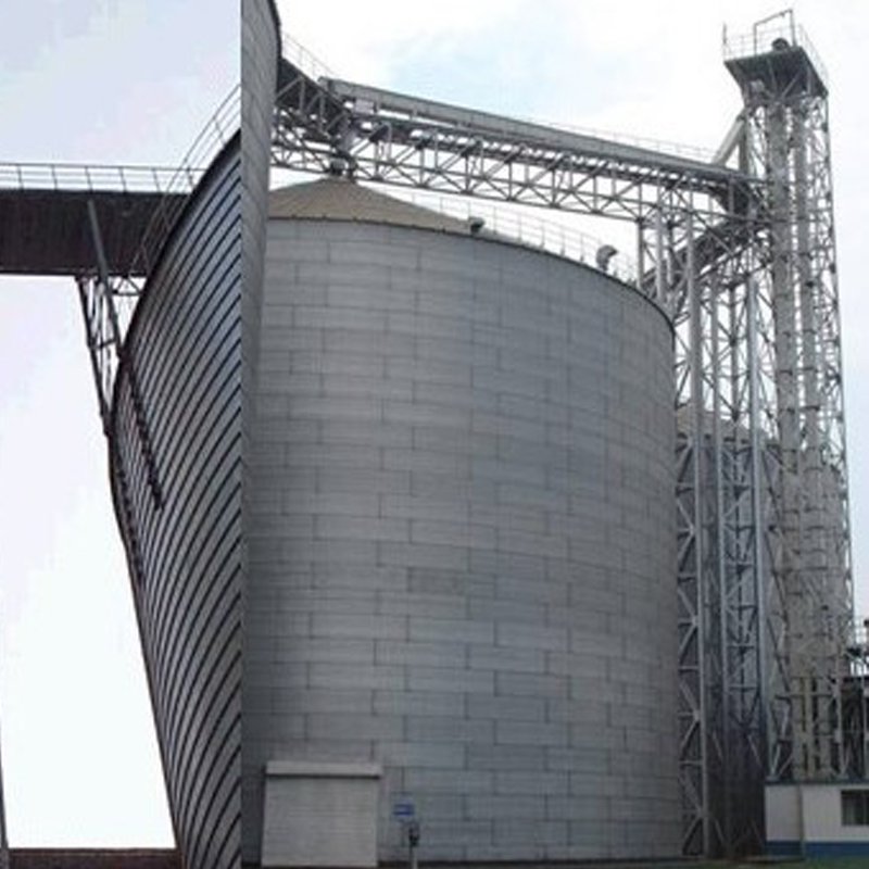 Wear-resistant Limestone Plate Chain Bucket Elevator